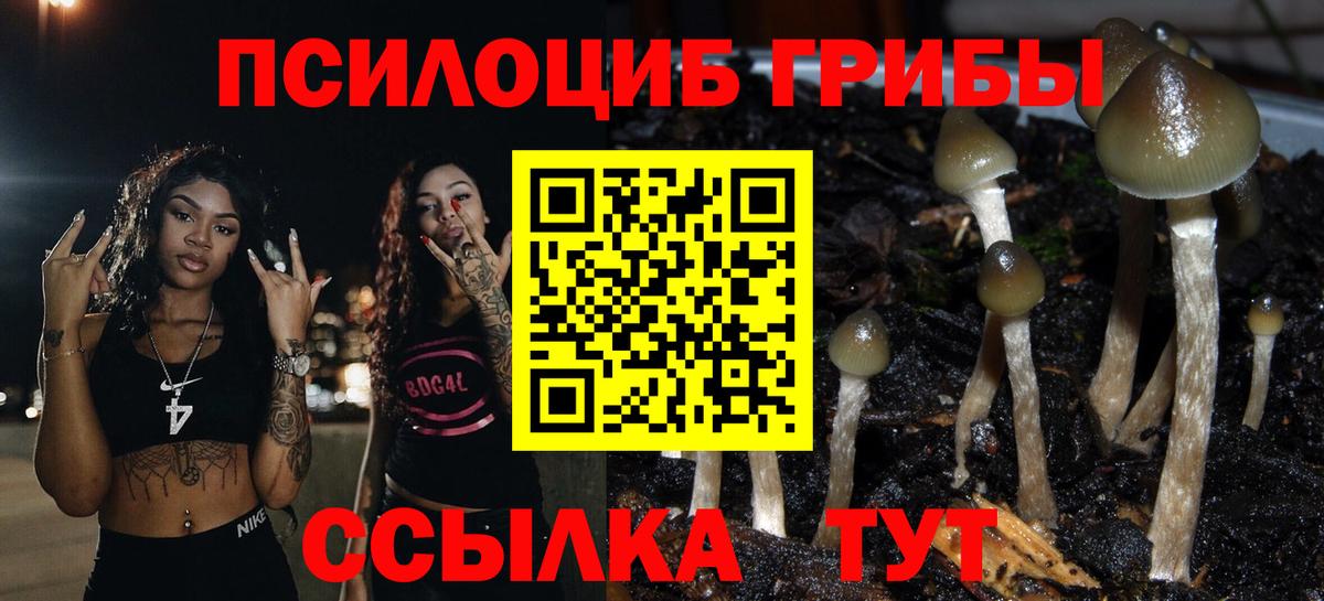 Галлюциногенные грибы Magic Shrooms Нижневартовск
