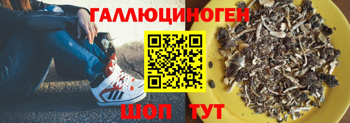 Нижневартовск  Псилоцибиновые грибы ЛСД  Вход с VPN 